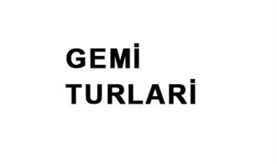 t3